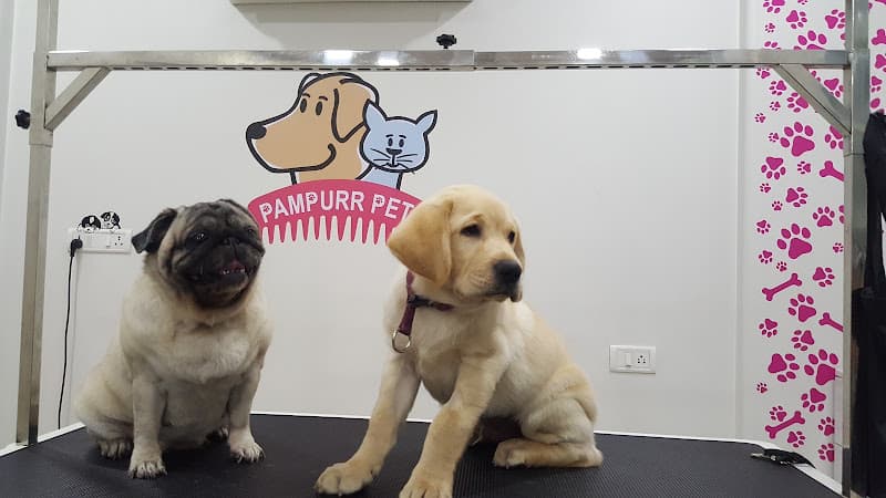 Pampurr Pets Grooming Salon and Spa