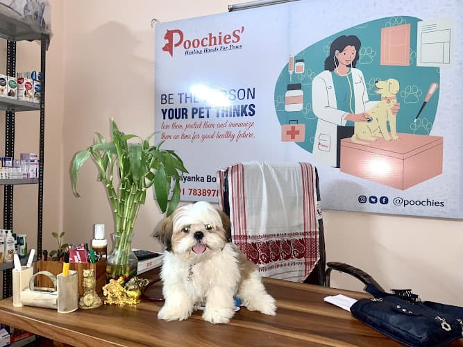 PoochieS' Pet Clinic