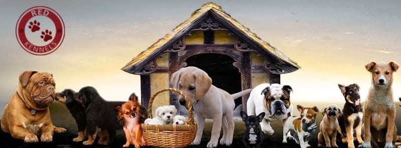 RED KENNELS-Dog's Website|Pet shop|Breeders|Kennels|Dog accessories and services