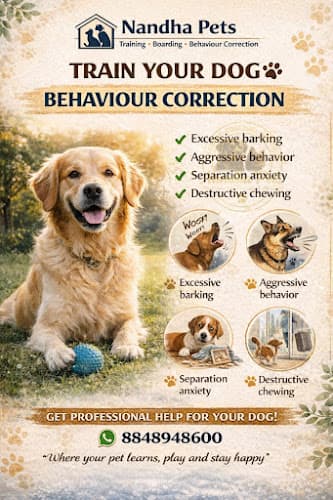 Nandha Pet Care ( Dog training & Boarding )