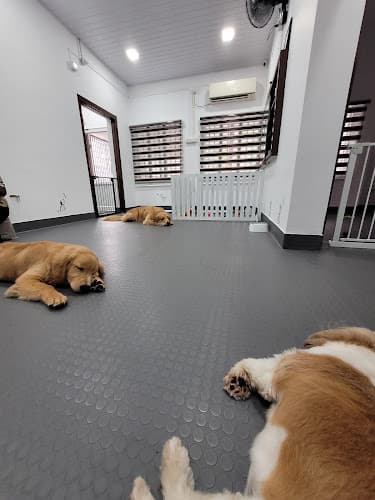 Tailcasa Pet boarding Services