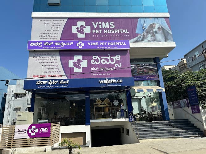 VIMS Pet Hospital – Trusted Veterinarian Clinic for pets
