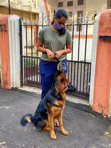 Canine Coach Disha