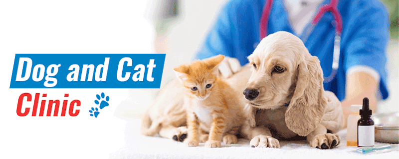 𝗔𝘀𝗶𝗮 𝗣𝗲𝘁 𝗖𝗹𝗶𝗻𝗶𝗰 | 𝗣𝗲𝘁 𝗚𝗿𝗼𝗼𝗺𝗶𝗻𝗴 | 𝗣𝗲𝘁 𝗖𝗹𝗶𝗻𝗶𝗰 & 𝗦𝘂𝗿𝗴𝗲𝗿𝘆 (𝗗𝗼𝗴, 𝗖𝗮𝘁, 𝗦𝗺𝗮𝗹𝗹 𝗣𝗲𝘁 𝗖𝗹𝗶𝗻𝗶𝗰) | 𝗘𝗺𝗲𝗿𝗴𝗲𝗻𝗰𝘆 𝗶𝗻 𝗗𝗲𝗹𝗵𝗶