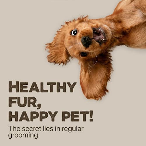 BOBO The Wise Dragon