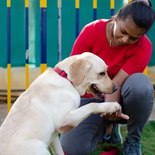 Dhanshree Rane - Dog Trainer in Mumbai
