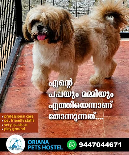 Oriana Pets Hostel