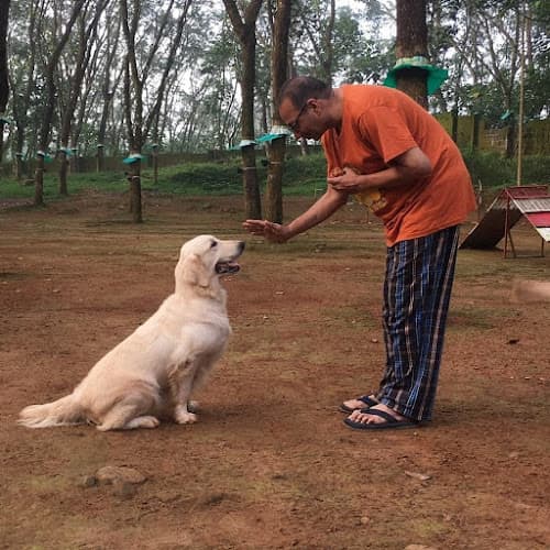 Pawsitive Canine Behaviour