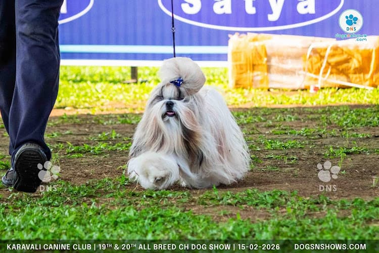 Wizard Of Paws ®️Since 2019