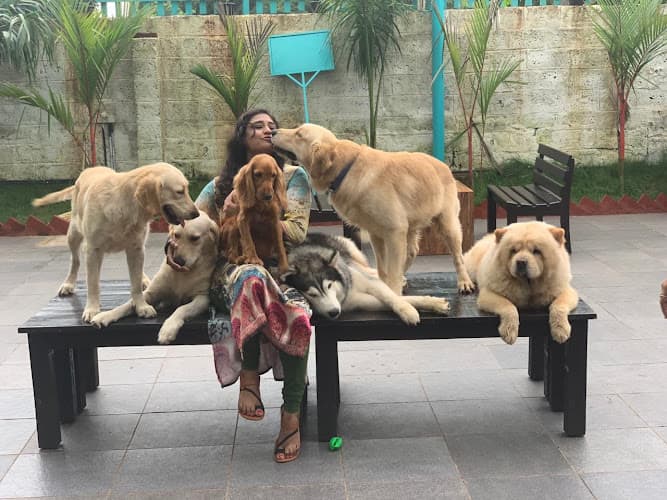 Siddharth dog trainer