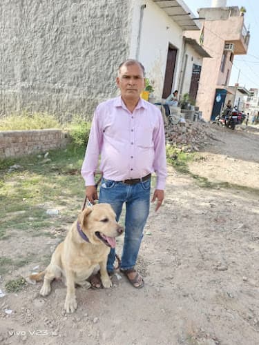 Dog Trainer Delhi - Dog Training, Boarding, Grooming & Walking in Delhi NCR