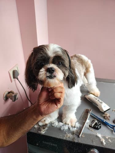 Petgroomers