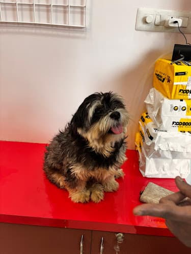 Wags-K-Swag Pet Grooming