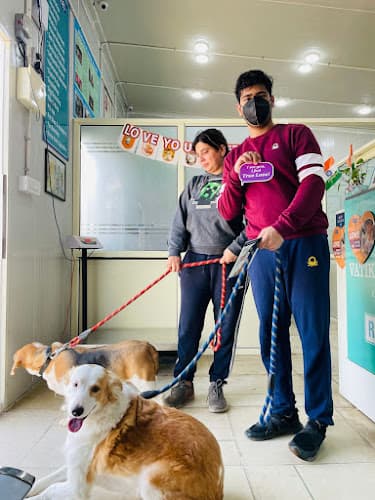Vatika Pet Clinic & Surgery Centre