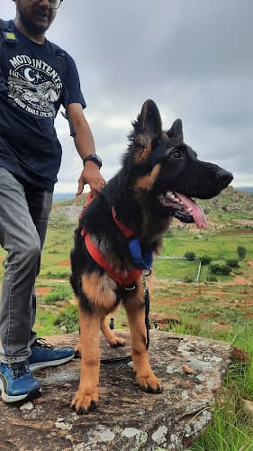 Pranati's positive Dog training