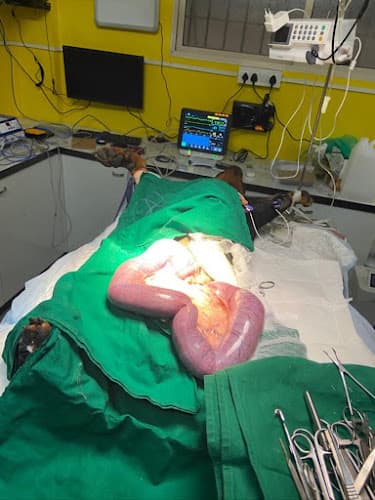 Petmates Companion Animal Care Clinic