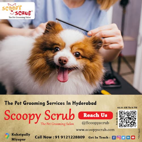 Scoopy Scrub & Pet Bytes - Pet Grooming Salon
