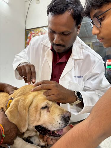 Eye 2 Eye Veterinary Clinic