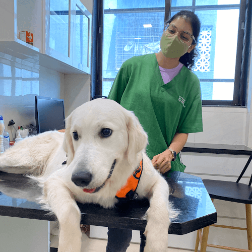 The Progressive Pet Clinic