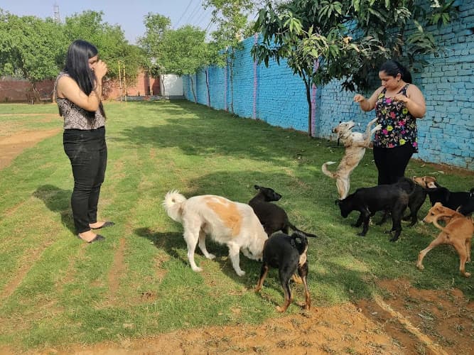 IndieLove Welfare Foundation