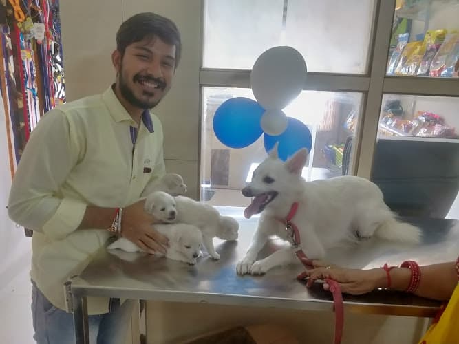 SARMEY: PET CLINIC & PET SHOP