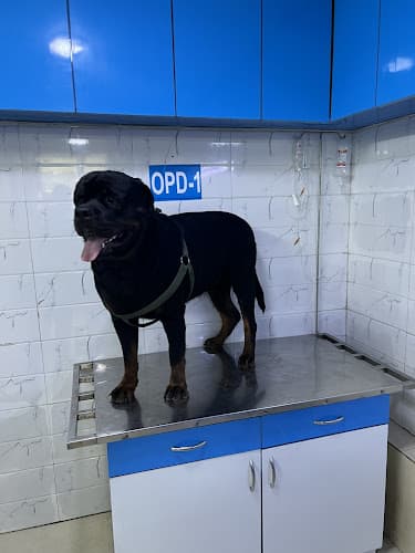 Panacea Veterinary Clinic