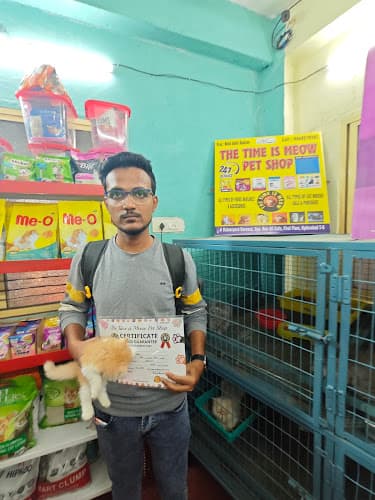 The Time Is Meow Pet Shop