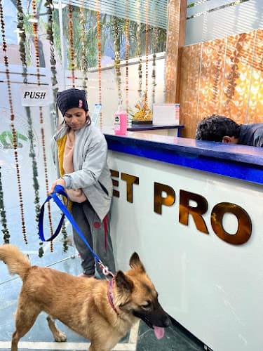 Vet Pro Dog and Cat Clinic