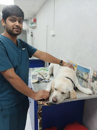 Vet Pulse Pet Clinic
