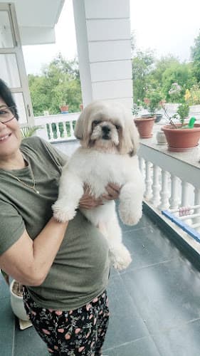 Pet Smile - Clinic & Grooming