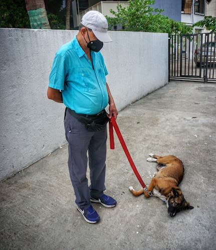 Dhanu's Kennel Dog Training & Rehabilitation- By Shailesh Omkar