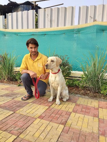 PetWags Dog Boarding with Training and Grooming Services