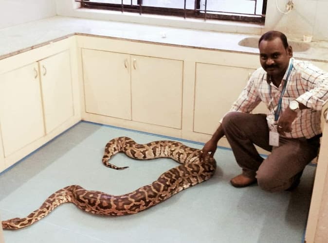 Tender Care Pet Clinic