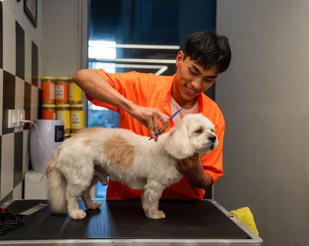 Pet Spa & Grooming by Heads Up For Tails - Janakpuri, New Delhi