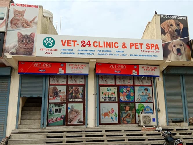 VET-24 CLINIC & PET SPA