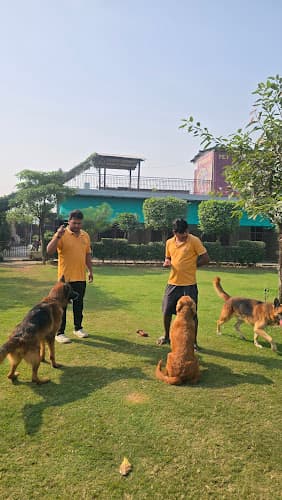 Pet Lovers Hut - Dog Boarding School