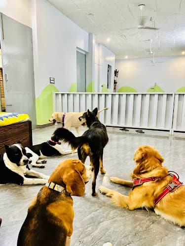 Imperial Dog Hostel & Boarding