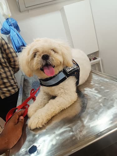 Dr. Palampalle's Pet Care Clinic