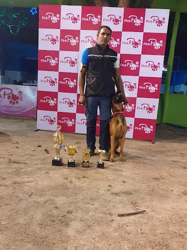 Ashok kumar Dog Trainer