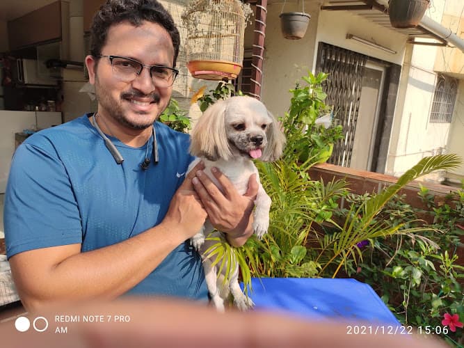 The Urban Paws Pune | Pet Grooming Salon @ Kharadi