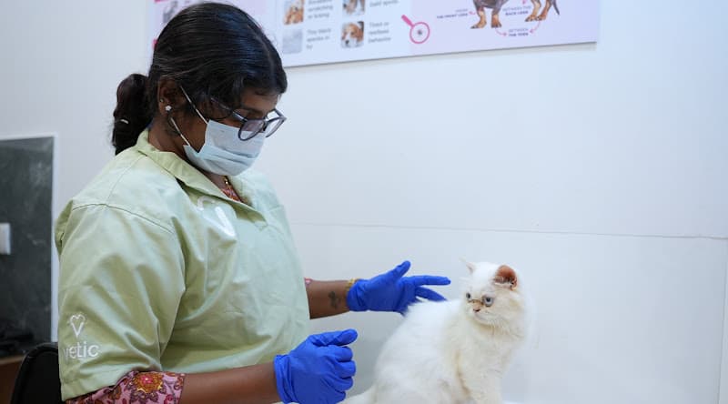 Vetic Pet Clinic Anand Vihar