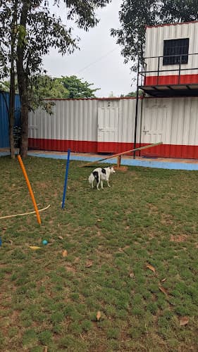 Woof N Goof Pet Resort - Pet Boarding, Pet Swimming Pool & more