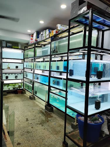 Narayana Aqua Gallery