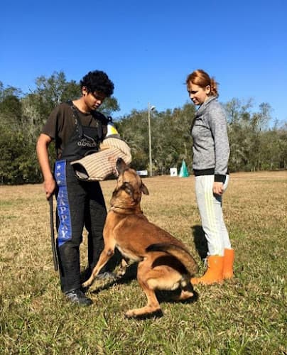 Dog Training Mumbai - Saket Gokhale