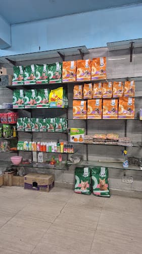 R.K Aquatic & Fur Babies Paradise