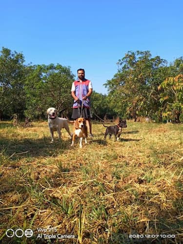 K9 pack leader dog training Mumbai