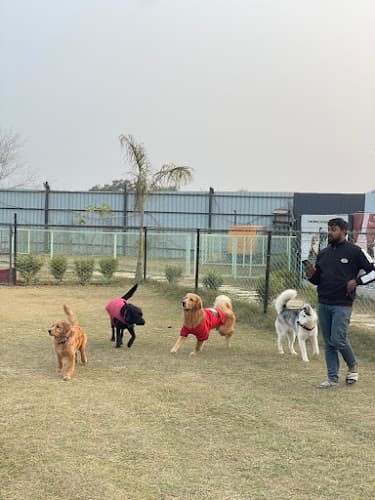 Furrvy - Pet Boarding, Daycare & Grooming | Sector 58, Gurugram