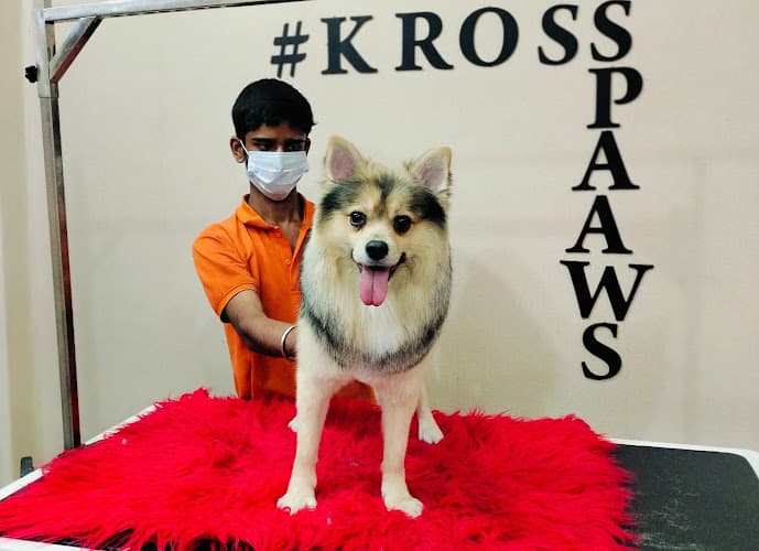 Kross Paaws - Pet grooming studio , boarding and academy