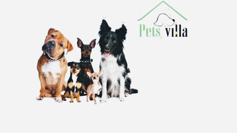 Pets Villa