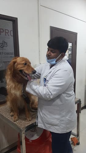 STAR VET MULTISPECIALITY PET HEALTHCARE